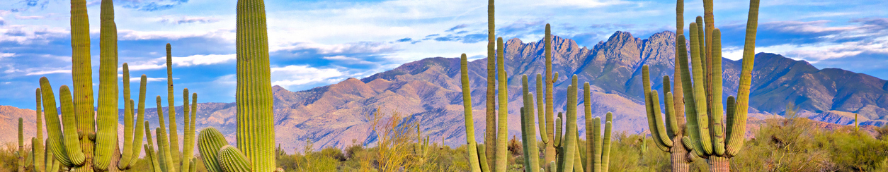 Public profile header image
