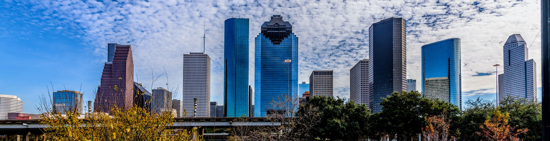 Public profile header image