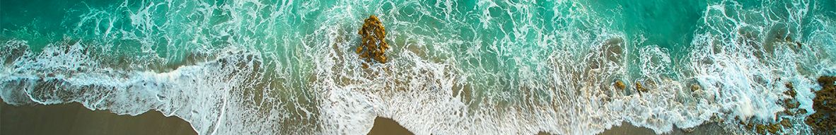 Public profile header image