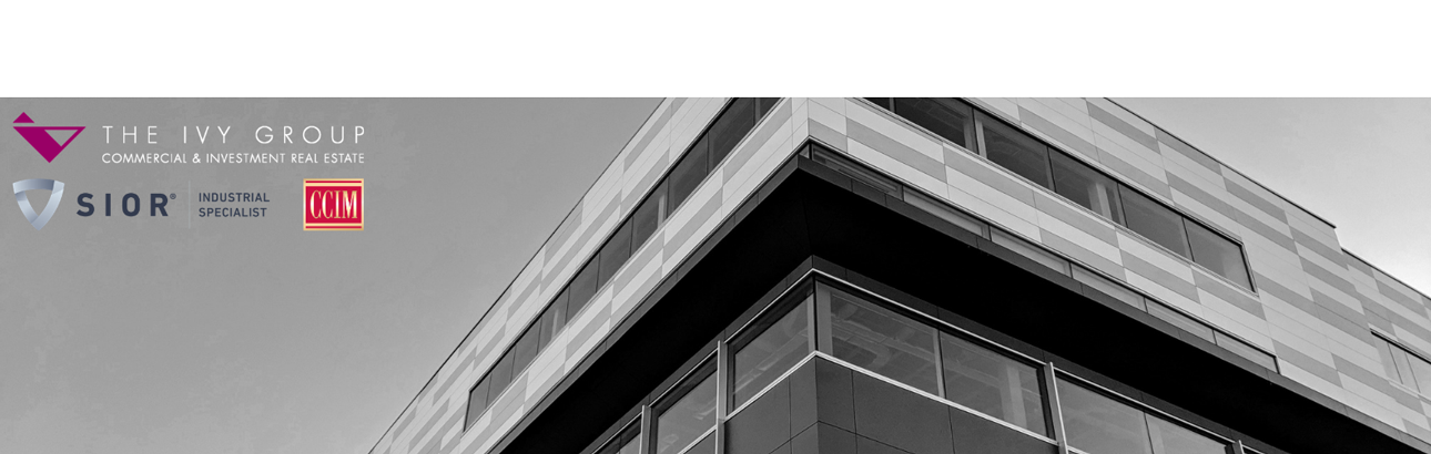 Public profile header image