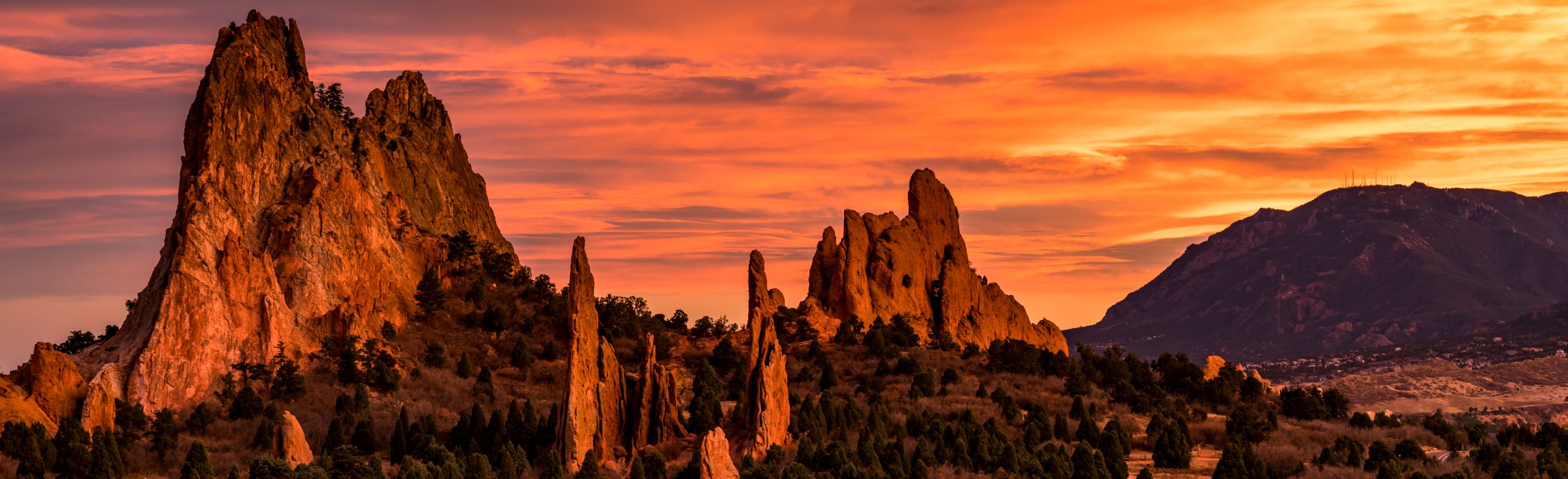 Public profile header image