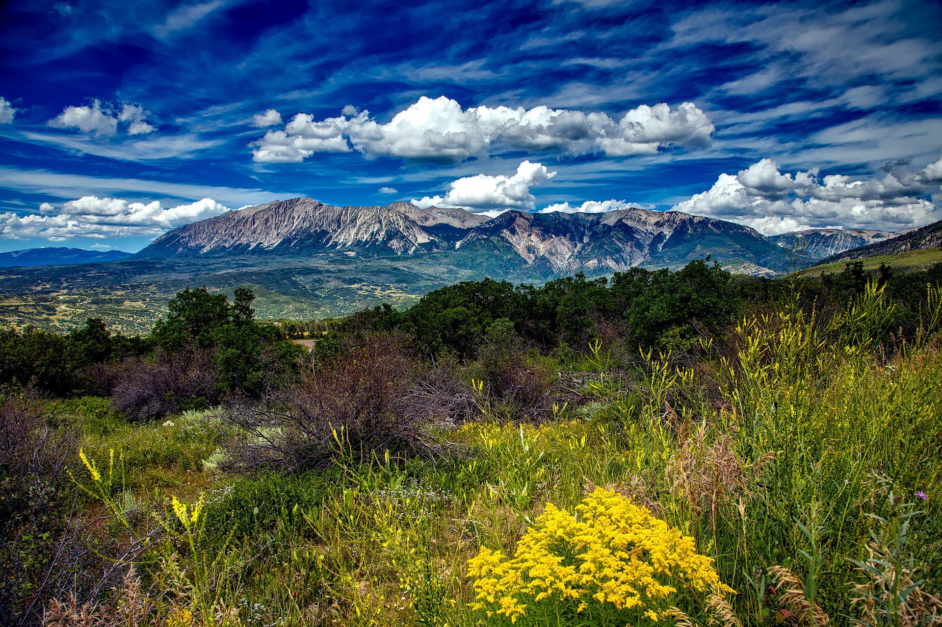 Public profile header image