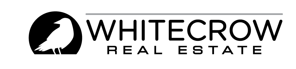 Public profile header image