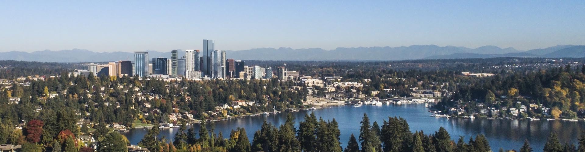 Public profile header image