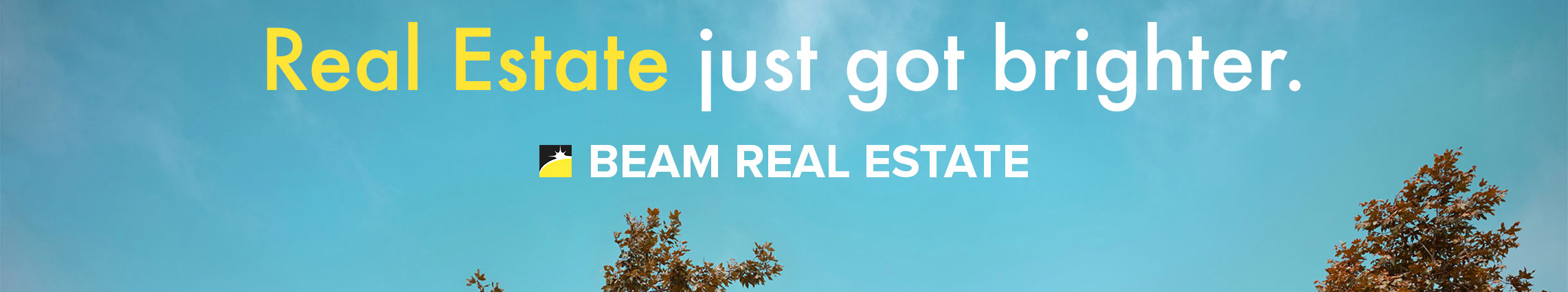 Public profile header image