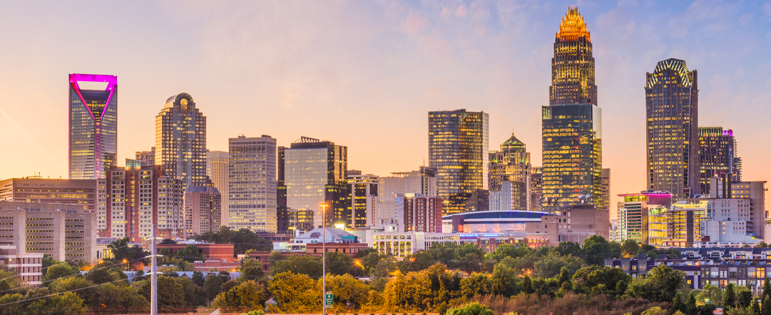 Public profile header image