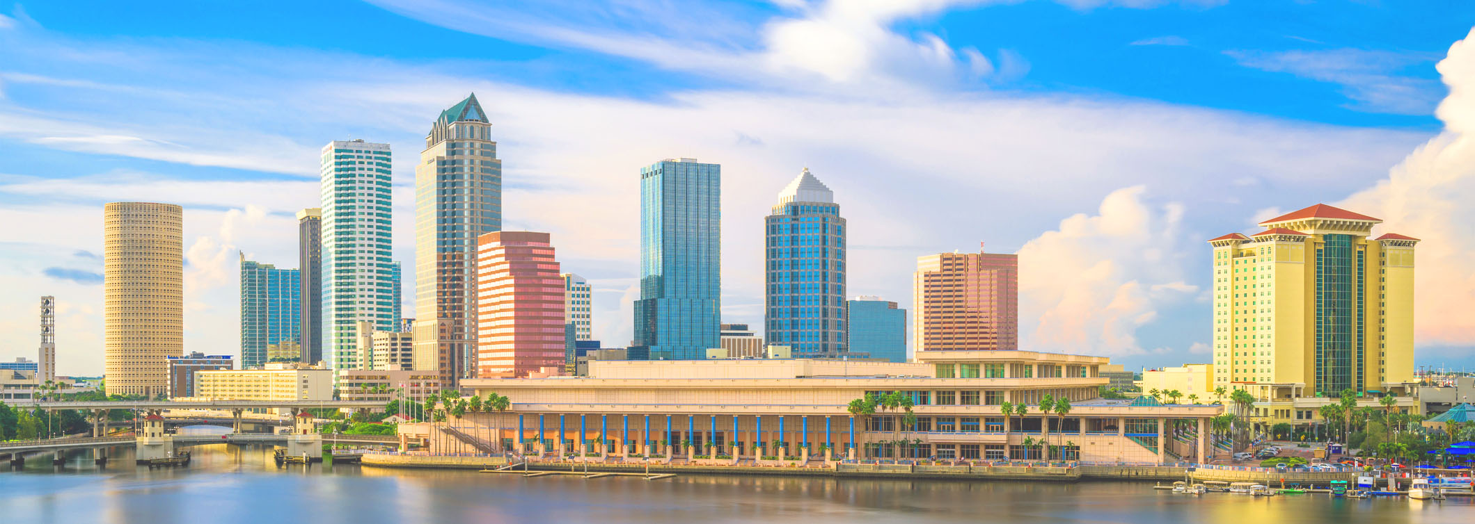 Public profile header image