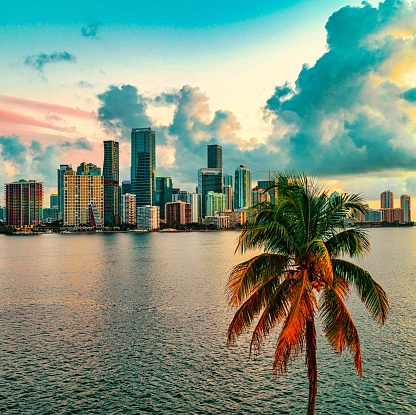 Public profile header image