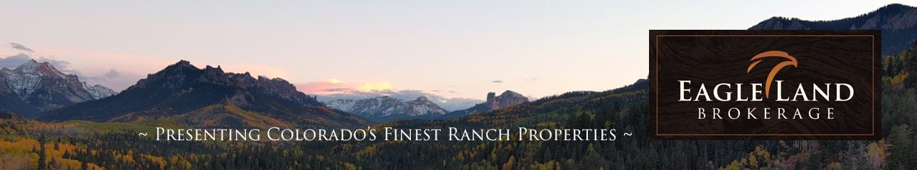 Public profile header image