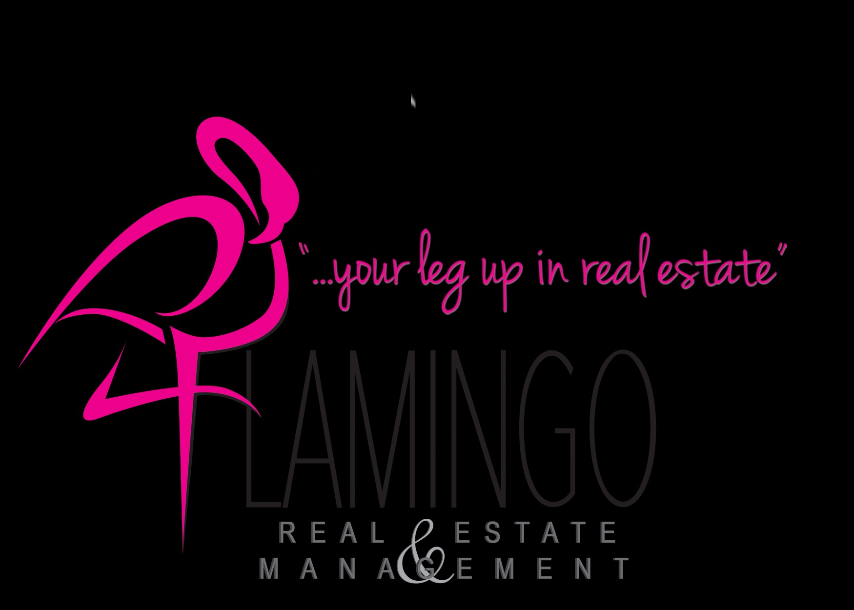 Public profile header image