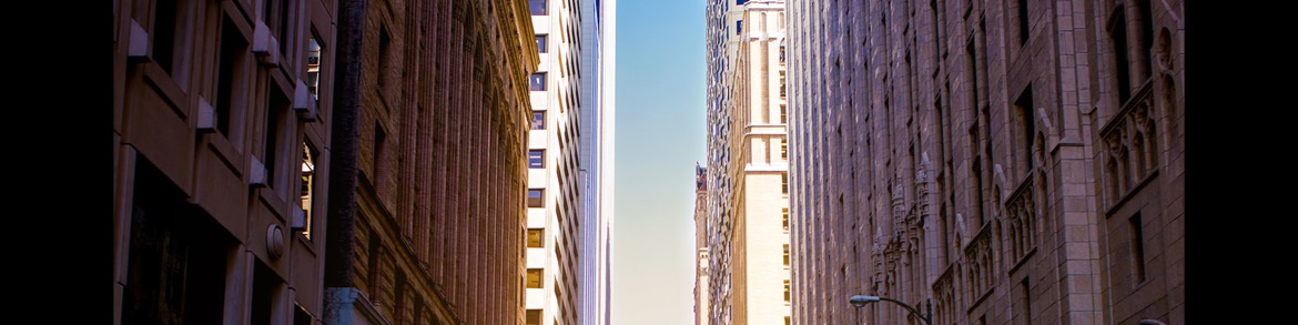 Public profile header image