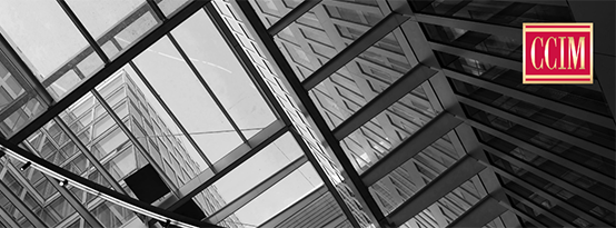 Public profile header image