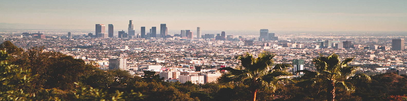 Public profile header image