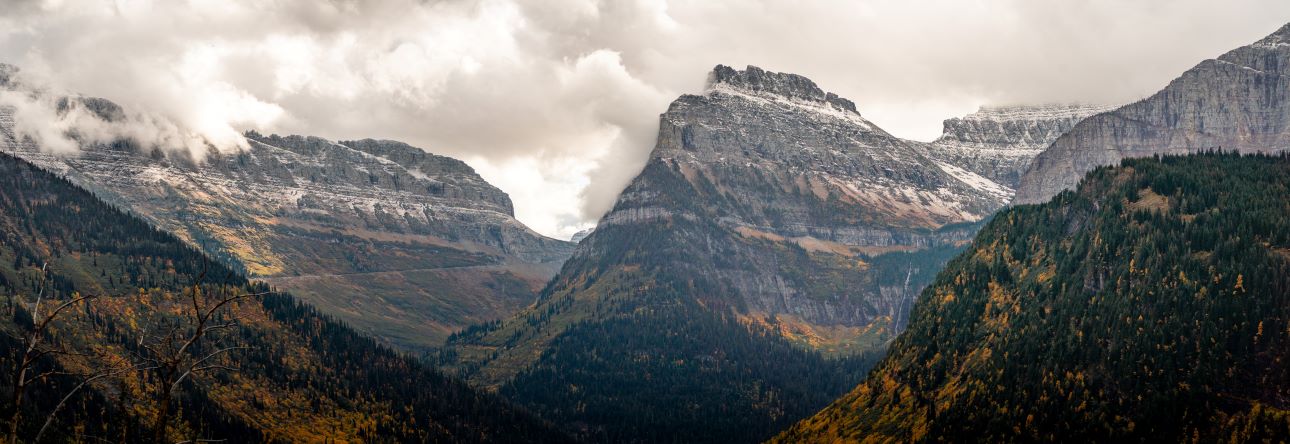 Public profile header image