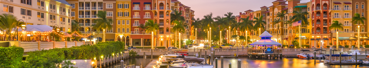 Public profile header image