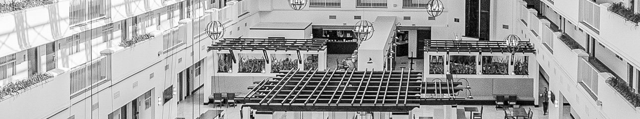 Public profile header image