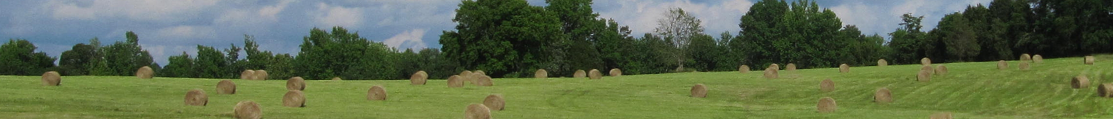 Public profile header image