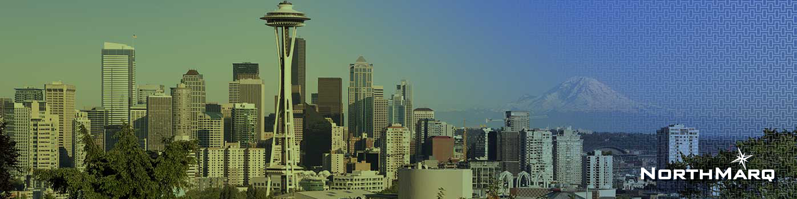 Public profile header image