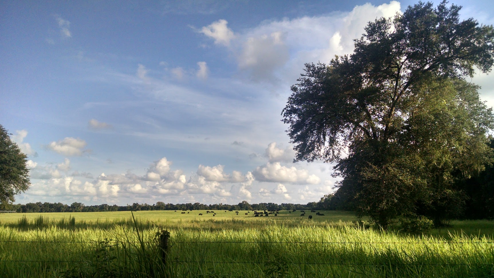Public profile header image