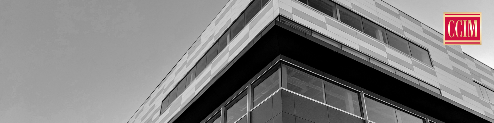 Public profile header image
