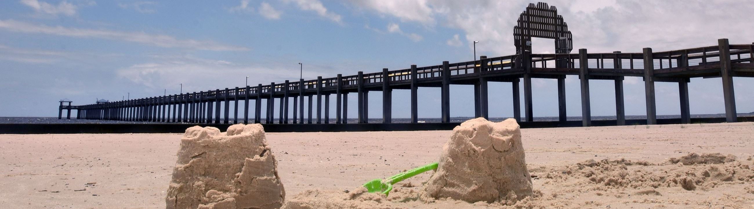 Public profile header image