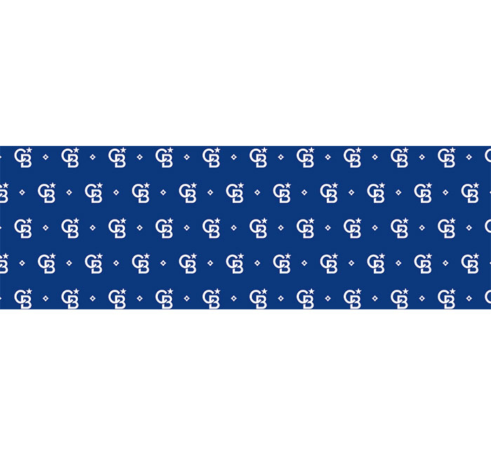 Public profile header image