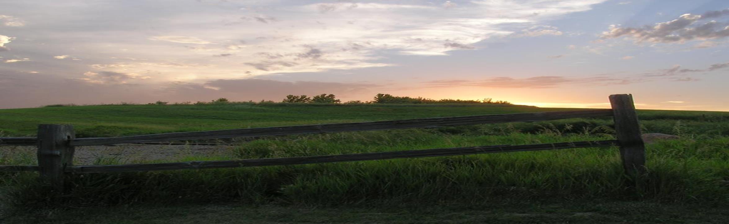 Public profile header image