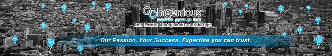 Public profile header image