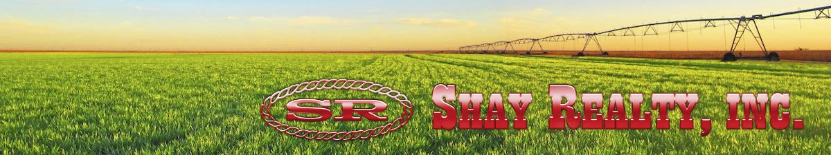 Public profile header image