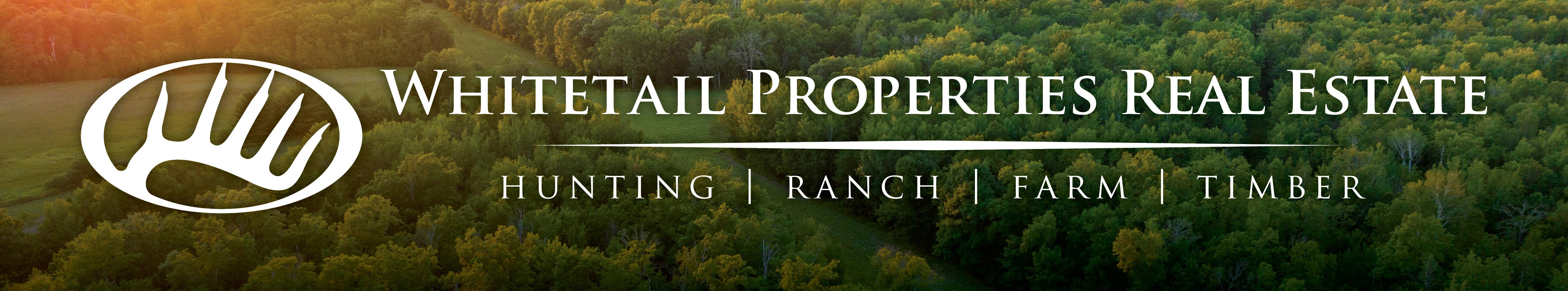 Public profile header image
