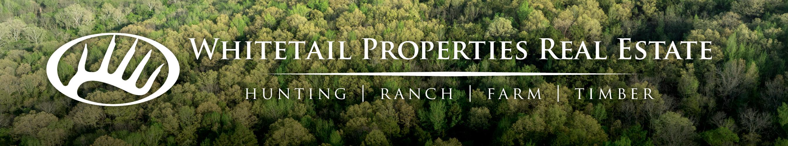 Public profile header image