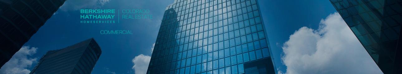 Public profile header image