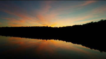 Public profile header image
