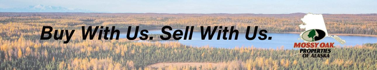 Public profile header image