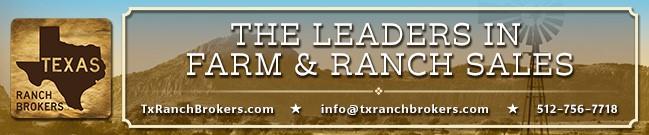 Public profile header image