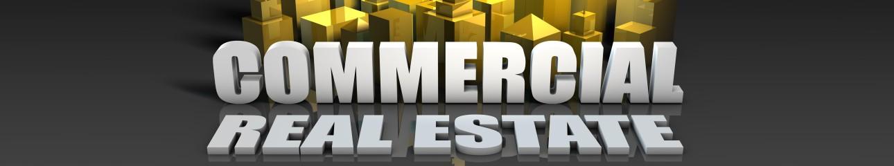 Public profile header image