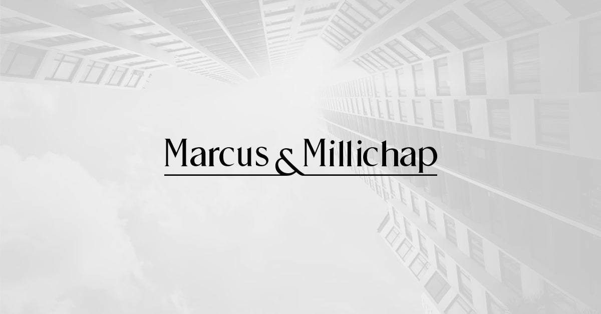 Public profile header image