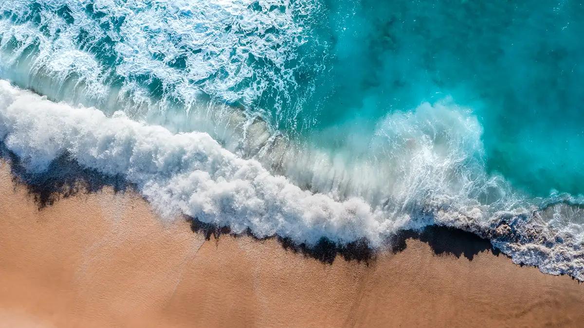 Public profile header image