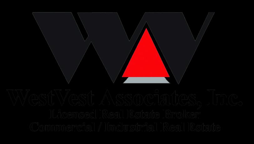 Public profile header image