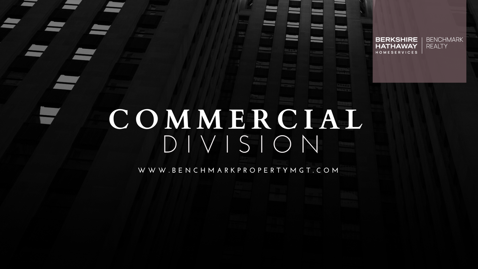 Public profile header image