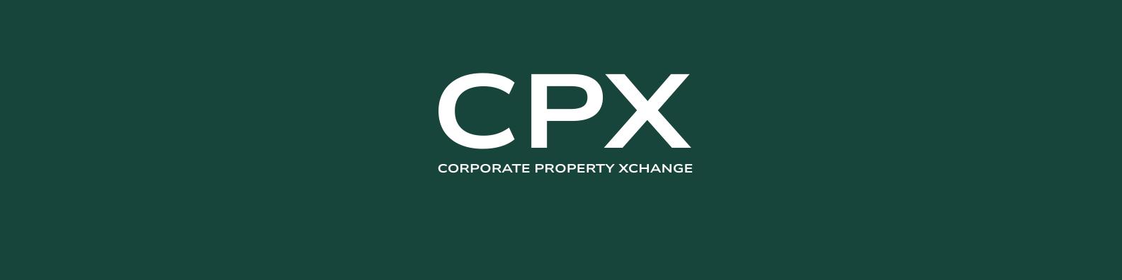 Public profile header image