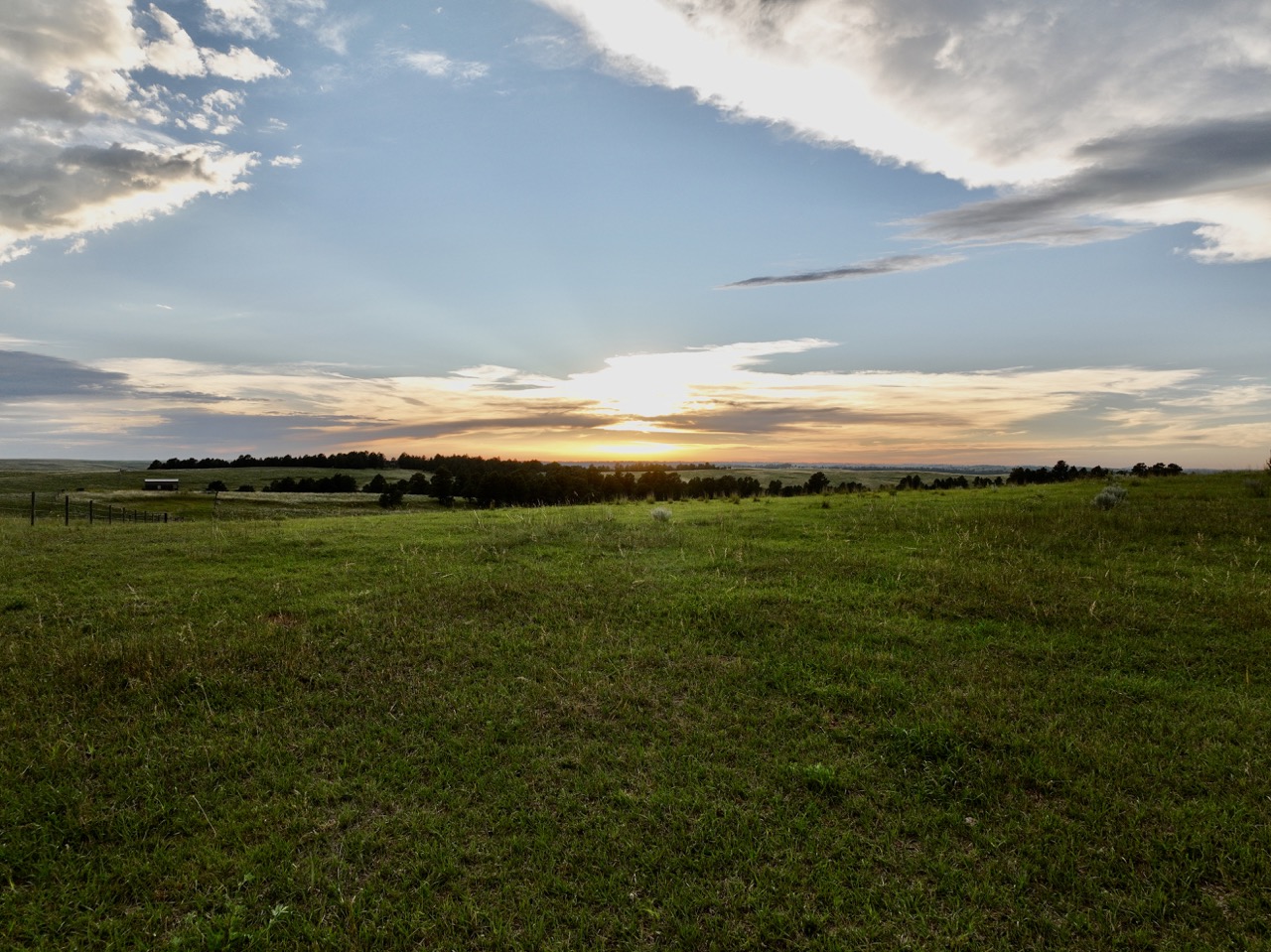 Public profile header image