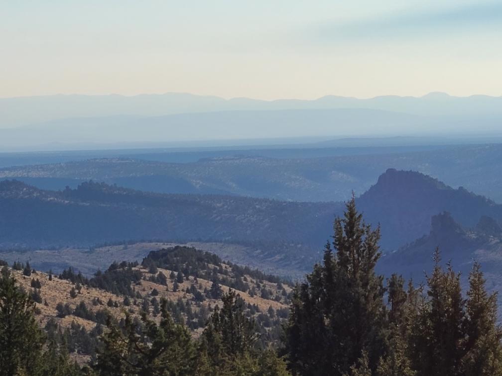 Michael Warren Crook County Properties LLC Crexi