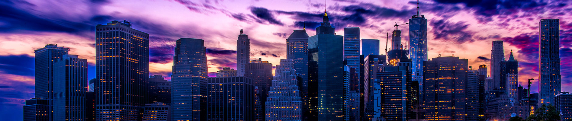 Public profile header image