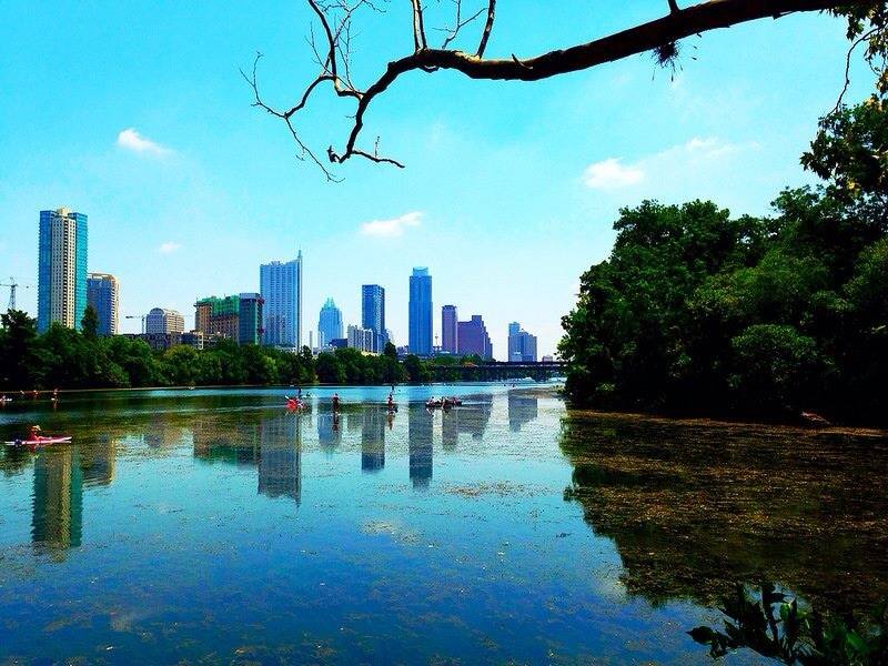 Public profile header image