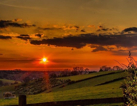 Public profile header image