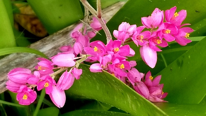 Public profile header image