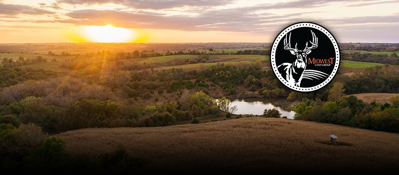 Public profile header image