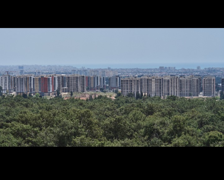 Public profile header image