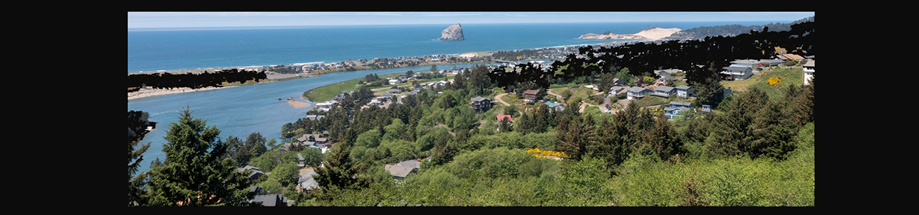 Public profile header image